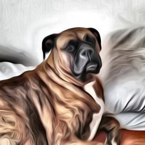 Meet your Posher, Stefani